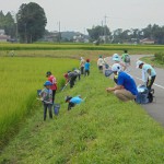 虫取り少年たち