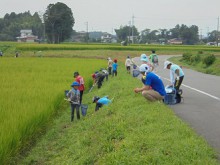 虫取り少年たち