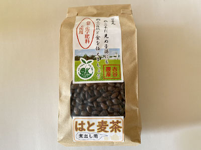 mugicha